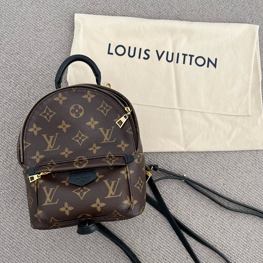 Louis Vuitton Palm Springs Mini Backpack